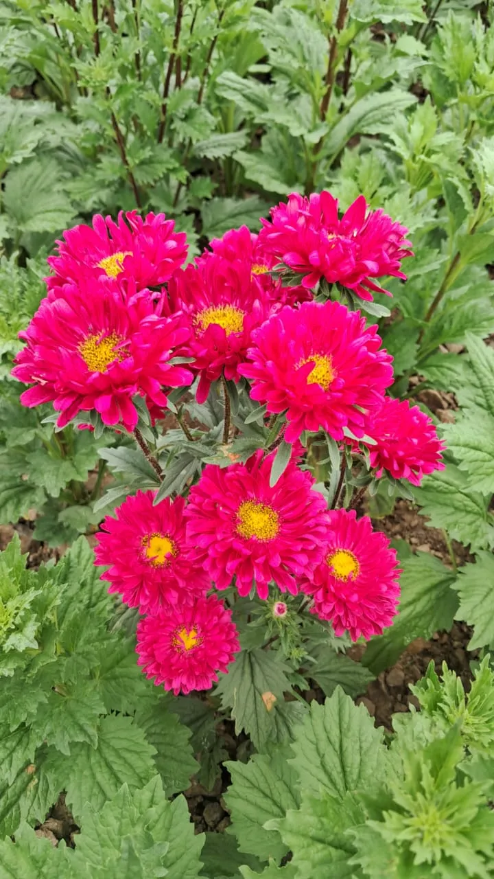 WhatsApp Image 2025-12-13 at 9.48